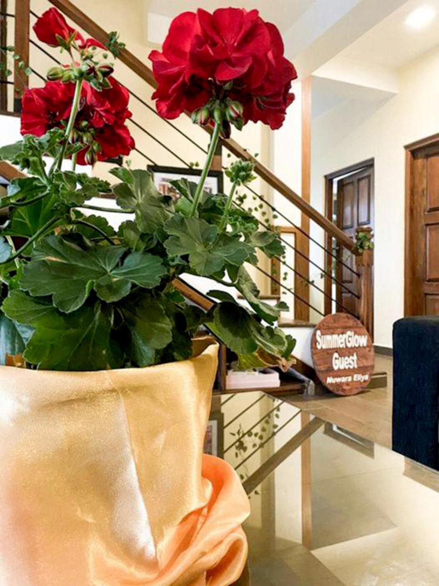 Summer Glow Guest - Nuwara Eliya Exterior foto